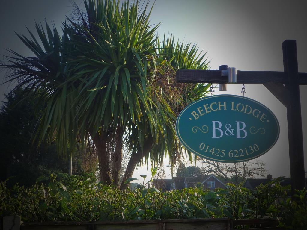 Beech Lodge Guest House New Milton Ngoại thất bức ảnh